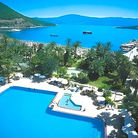 Aqua فندق 5*